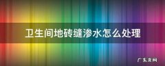 卫生间地砖缝渗水怎么处理填缝剂和美缝剂哪个更防水 卫生间地砖缝渗水怎么处理
