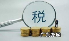 小规模纳税人增值税记在哪儿 小规模纳税人增值税记在哪里