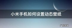 小米手机如何设置动态壁纸声音 小米手机如何设置动态壁纸