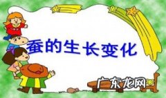 蚕宝宝的生长过程 蚕宝宝的生长过程观察日记