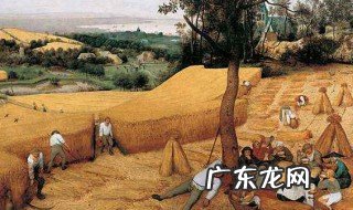 人类历史的特点 人类历史有什么特点