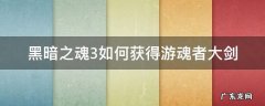 黑暗之魂3如何获得游魂者大剑 黑魂3大剑怎么得