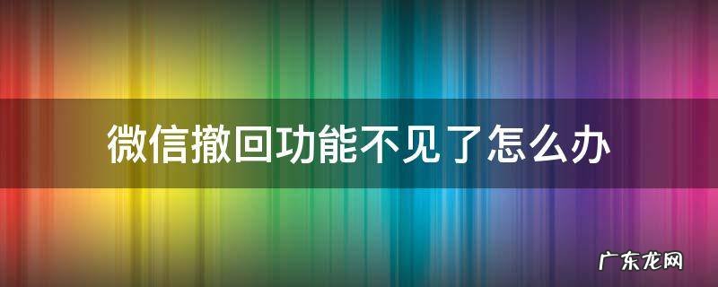 微信撤回功能不见了怎么办 微信信息撤回功能不见了