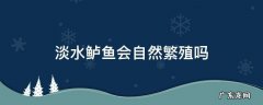 淡水鲈鱼会自然繁殖吗 淡水鲈鱼能自然繁殖吗