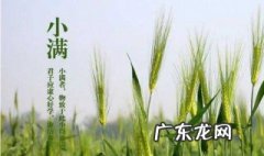 有关小满节气的谚语 有关小满节气的谚语有哪些