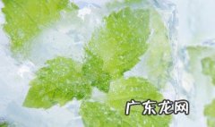 薄荷怎么吃?推荐薄荷的5种简单吃法 薄荷怎么吃