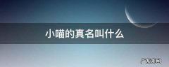 小喵原名叫什么 小喵的真名叫什么