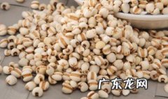 薏米仁的功效与作用的功能与主治 薏米仁的功效与作用
