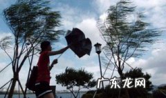 7级大风什么概念 七级大风有什么危害