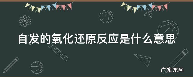 自发的氧化还原反应是什么意思 自发的氧化还原反应是什么意思