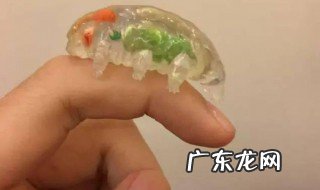 水仙花和水熊虫哪个生命力最强 哪种生命力更强水仙花和水熊虫