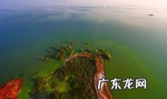 世界上是先有动物还是先有人类 世界上是先有哪种生物