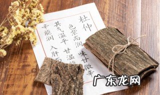 杜仲的功效及用途 杜仲的功效及用途杜仲泡水一次取多少适量