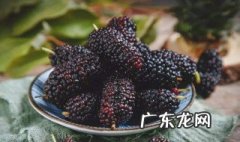 桑葚怎么做吃的好 桑葚怎么做吃的