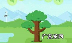 能量保护罩有什么用 能量保护罩有什么作用