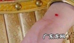 守宫砂是什么动物 守宫砂是什么