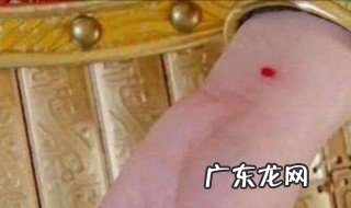 守宫砂是什么动物 守宫砂是什么