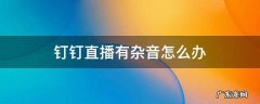 钉钉直播出现杂音 钉钉直播有杂音怎么办