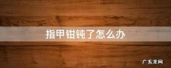 指甲钳不锋利怎么办 指甲钳钝了怎么办
