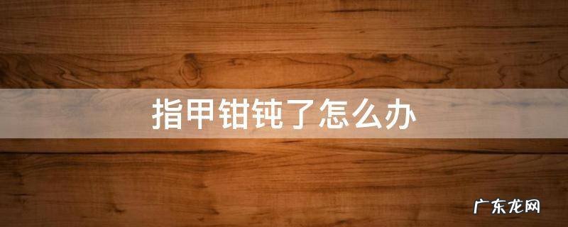 指甲钳不锋利怎么办 指甲钳钝了怎么办