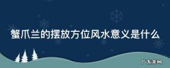 蟹爪兰的摆放方位风水意义是什么 蟹爪兰的摆放方位风水意义是什么意思