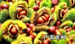 八月炸好吃吗怎么做 八月炸好吃吗