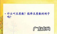 什么是互质数 什么是互质数 意思