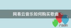 网易云音乐如何购买歌曲 网易云音乐怎么购买音乐