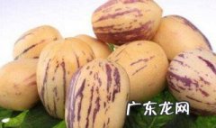 人参果可以水煮吗 人参果能用热水煮吃吗