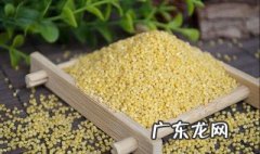 小米的功效与作用及营养价值 小米的功效与作用