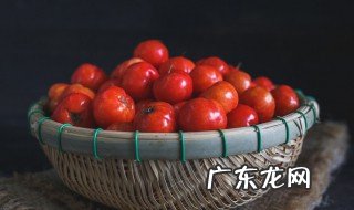 巴西樱桃种植技术 巴西樱桃种植气候条件