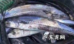 哪些人不适合吃马鲛鱼 哪些人不适合吃马鲛鱼