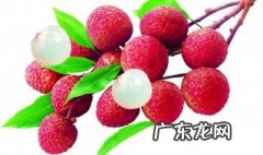 种荔枝需要什么自然条件 种荔枝需要什么