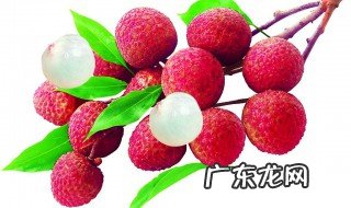 种荔枝需要什么自然条件 种荔枝需要什么