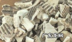 瓦楞子的功效与作用 瓦楞子的功效与作用图片