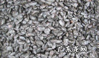 九香虫的功效与作用及禁忌是什么 九香虫的功效与作用