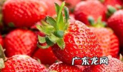 草莓的功效与作用 草莓的功效与作用上火还是降火