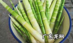 竹笋的功效和作用 竹笋的功效和作用禁忌 百度百科