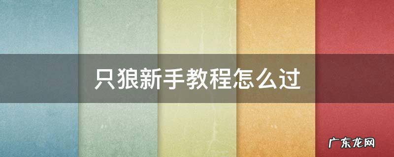 只狼新手教程怎么过 只狼新手教程怎么过视频