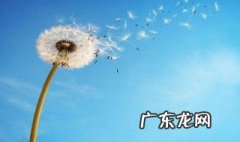 每天保持好心态的说说女人 每天保持好心态的说说