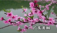 关于春天的说说心情短语 关于春天的说说短句子
