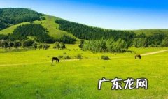 北京坝上草原在哪 坝上草原在哪