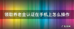 河南领取养老金认证在手机上怎么操作 领取养老金认证在手机上怎么操作