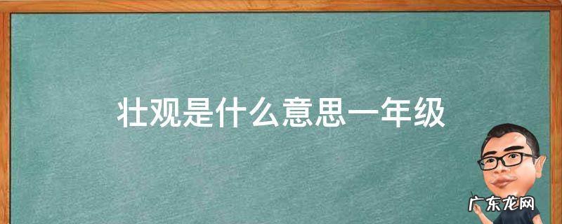 壮观的什么一年级 壮观是什么意思一年级