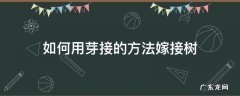 果树嫁接芽接法 如何用芽接的方法嫁接树