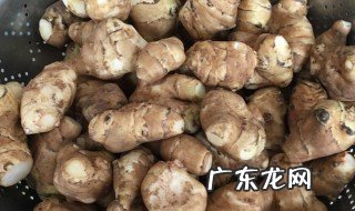 几月挖洋姜 洋姜什么时候采摘