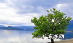 树木不发芽是怎么回事儿 树木不发芽是怎么回事