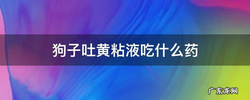 狗子吐黄粘液吃什么药 小狗吐黄粘液吃什么药