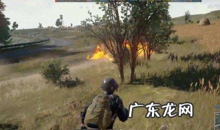 吃鸡掉帧怎么设置 吃鸡掉帧怎么设置不卡