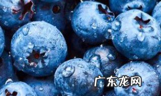 蓝莓可以泡酒吗怎么泡 蓝莓可以泡酒吗